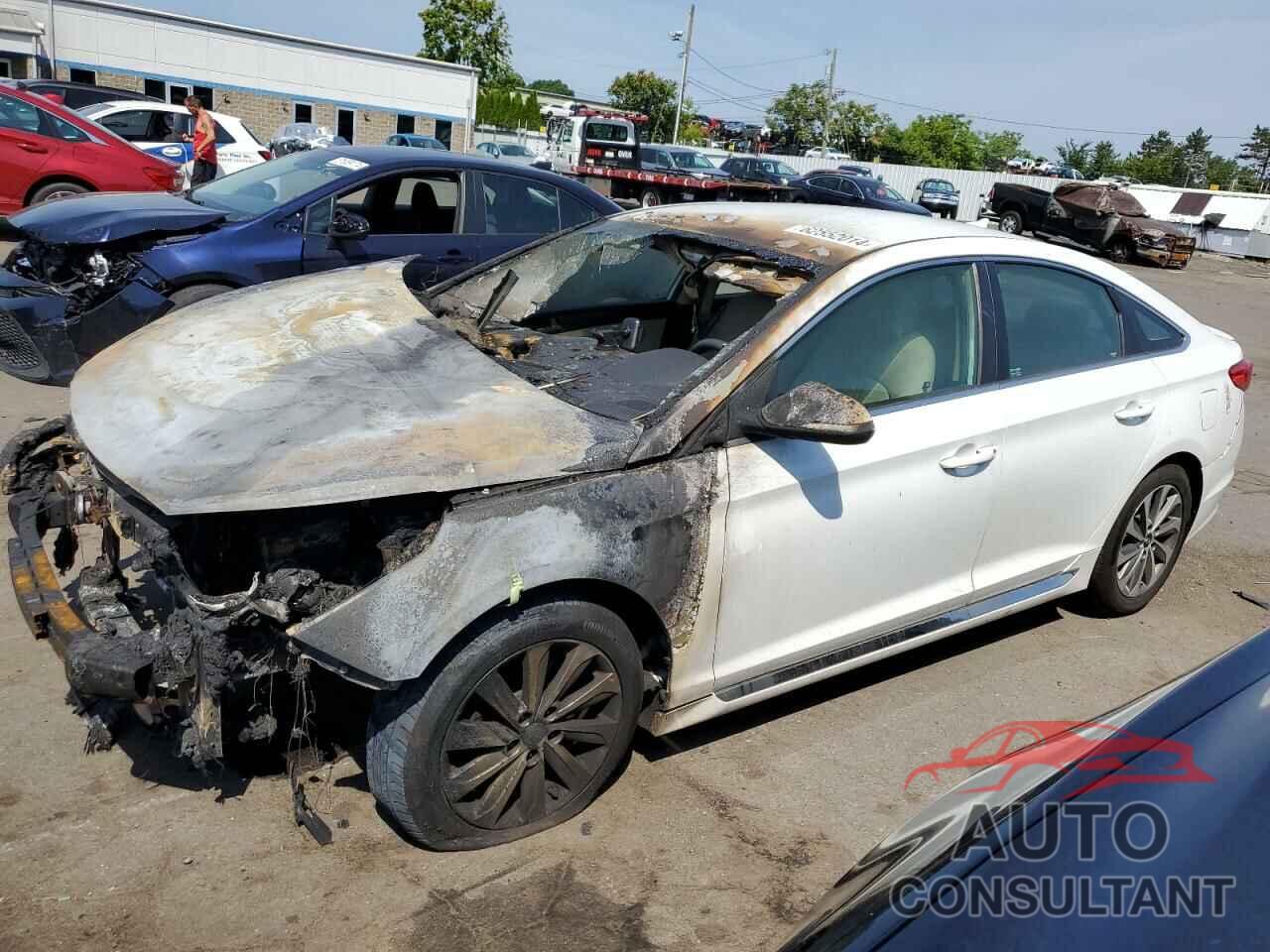 HYUNDAI SONATA 2016 - 5NPE34AF3GH335404