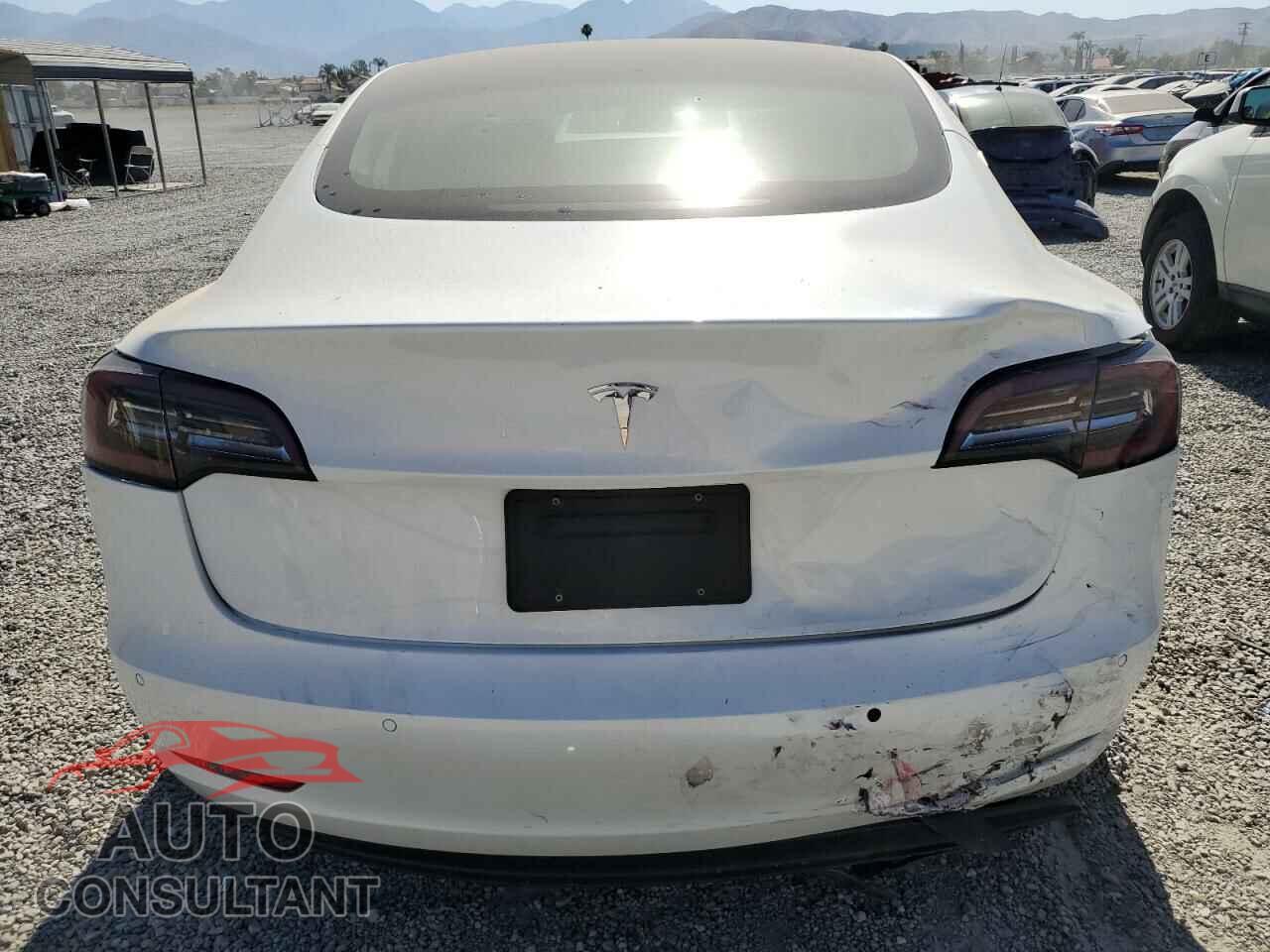 TESLA MODEL 3 2020 - 5YJ3E1EA9LF706167