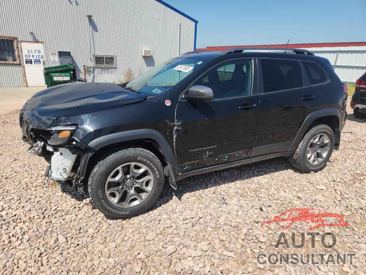 JEEP CHEROKEE 2019 - 1C4PJMBX5KD347512
