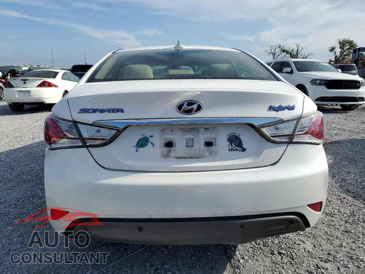 HYUNDAI SONATA 2012 - KMHEC4A46CA063183