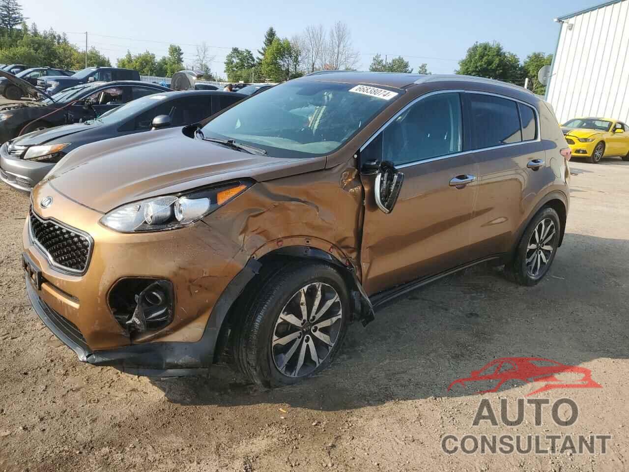 KIA SPORTAGE 2017 - KNDPN3AC9H7210402