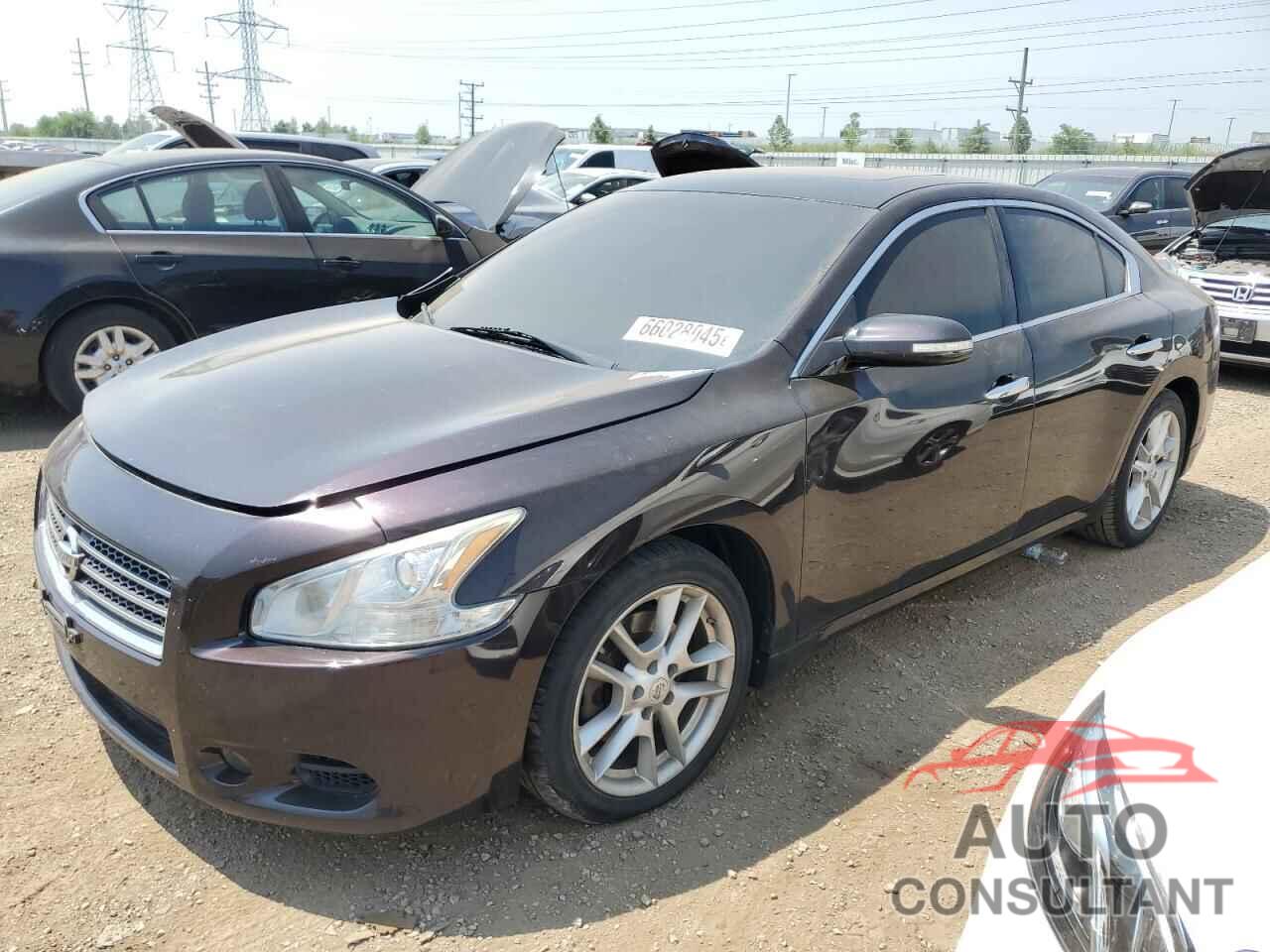 NISSAN MAXIMA 2011 - 1N4AA5AP4BC837187