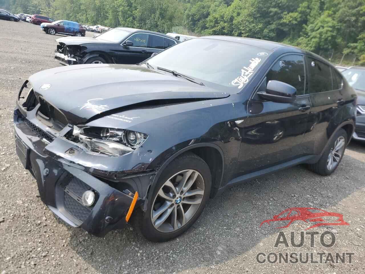 BMW X6 2014 - 5UXFG2C58E0C44416