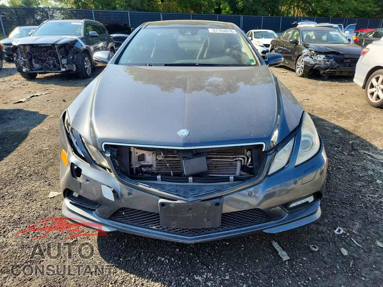 MERCEDES-BENZ E-CLASS 2010 - WDDKJ7CB2AF000405