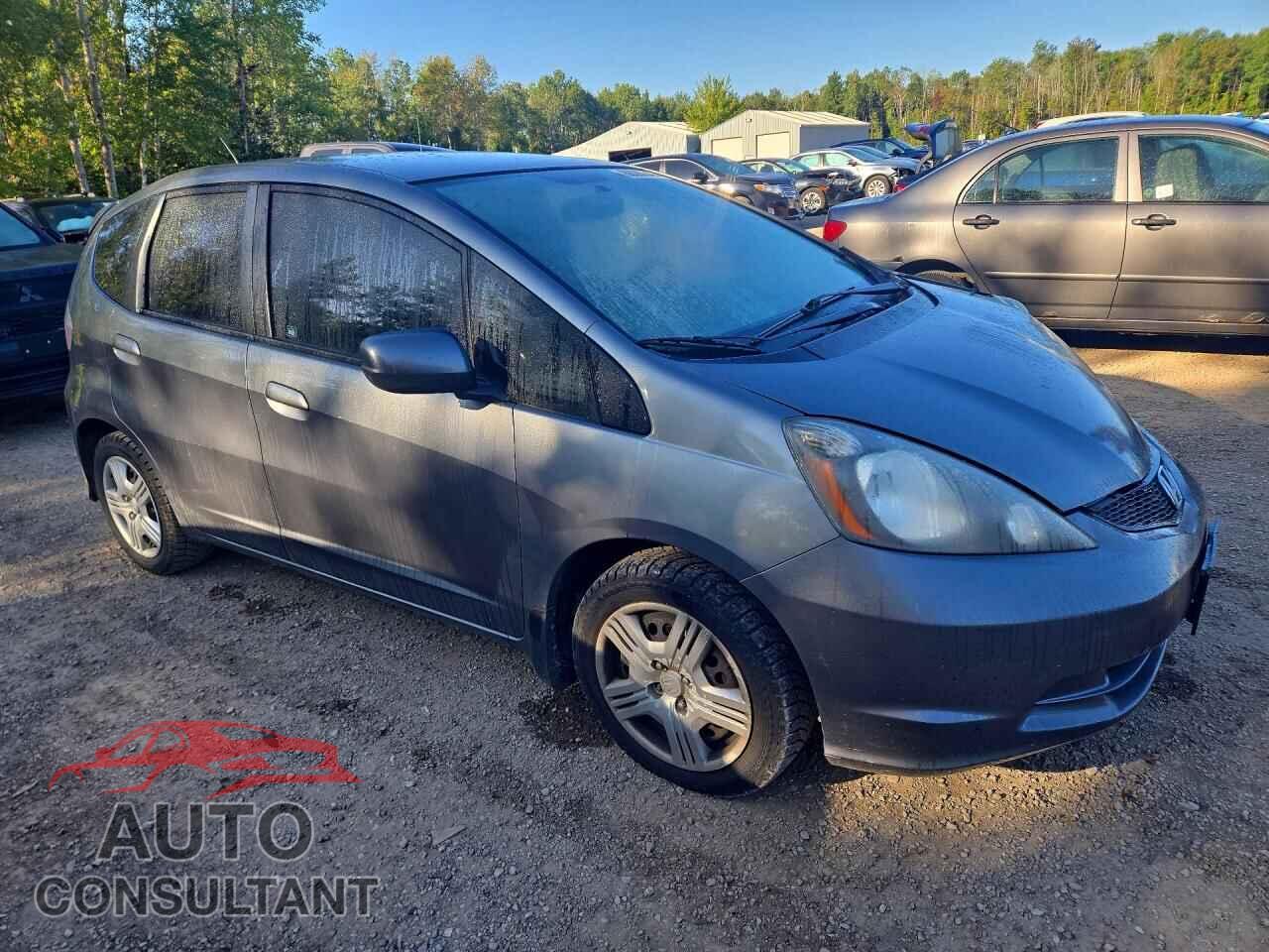 HONDA FIT 2012 - LUCGE8H55C3001500