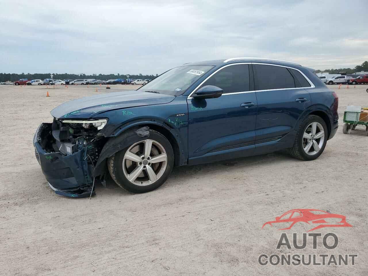 AUDI E-TRON 2019 - WA1VABGE5KB019015