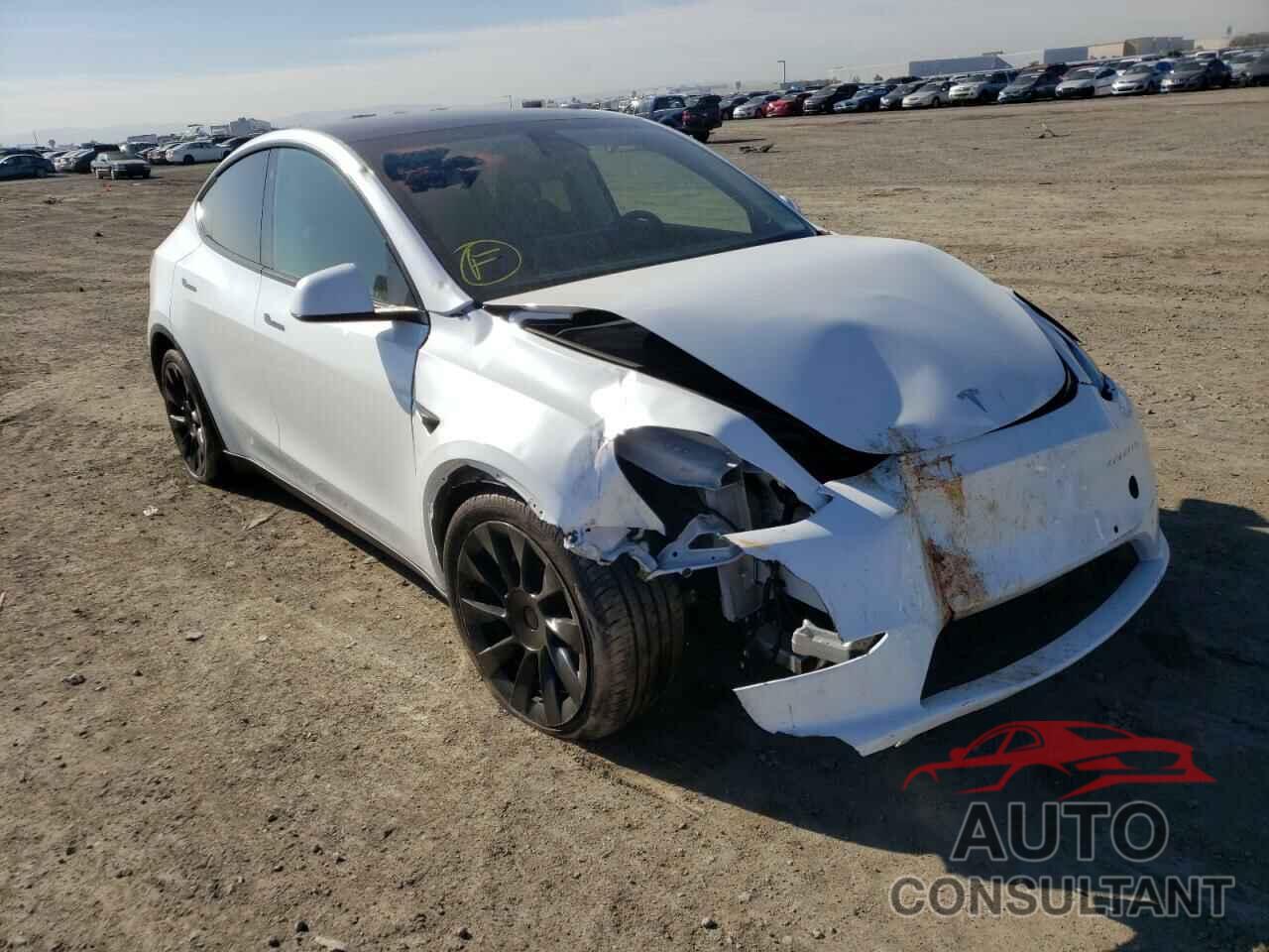 TESLA MODEL Y 2021 - 5YJYGDEE5MF161624