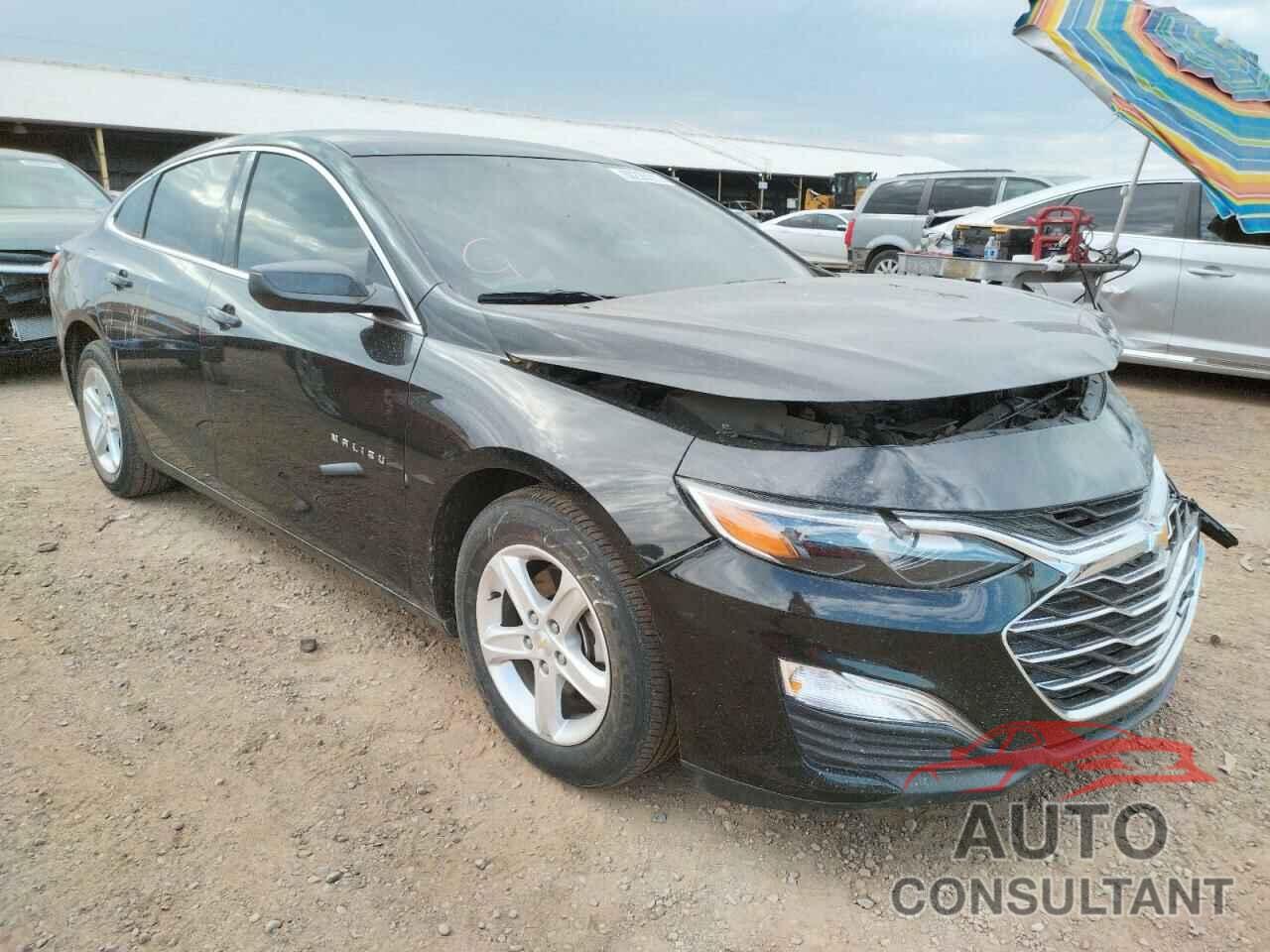 CHEVROLET MALIBU 2019 - 1G1ZB5ST3KF175387