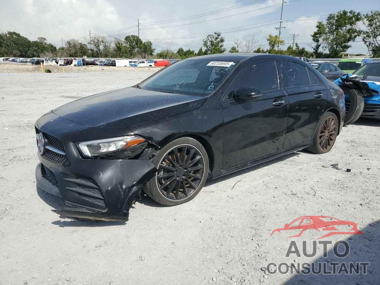 MERCEDES-BENZ A-CLASS 2019 - WDD3G4EB4KW022776