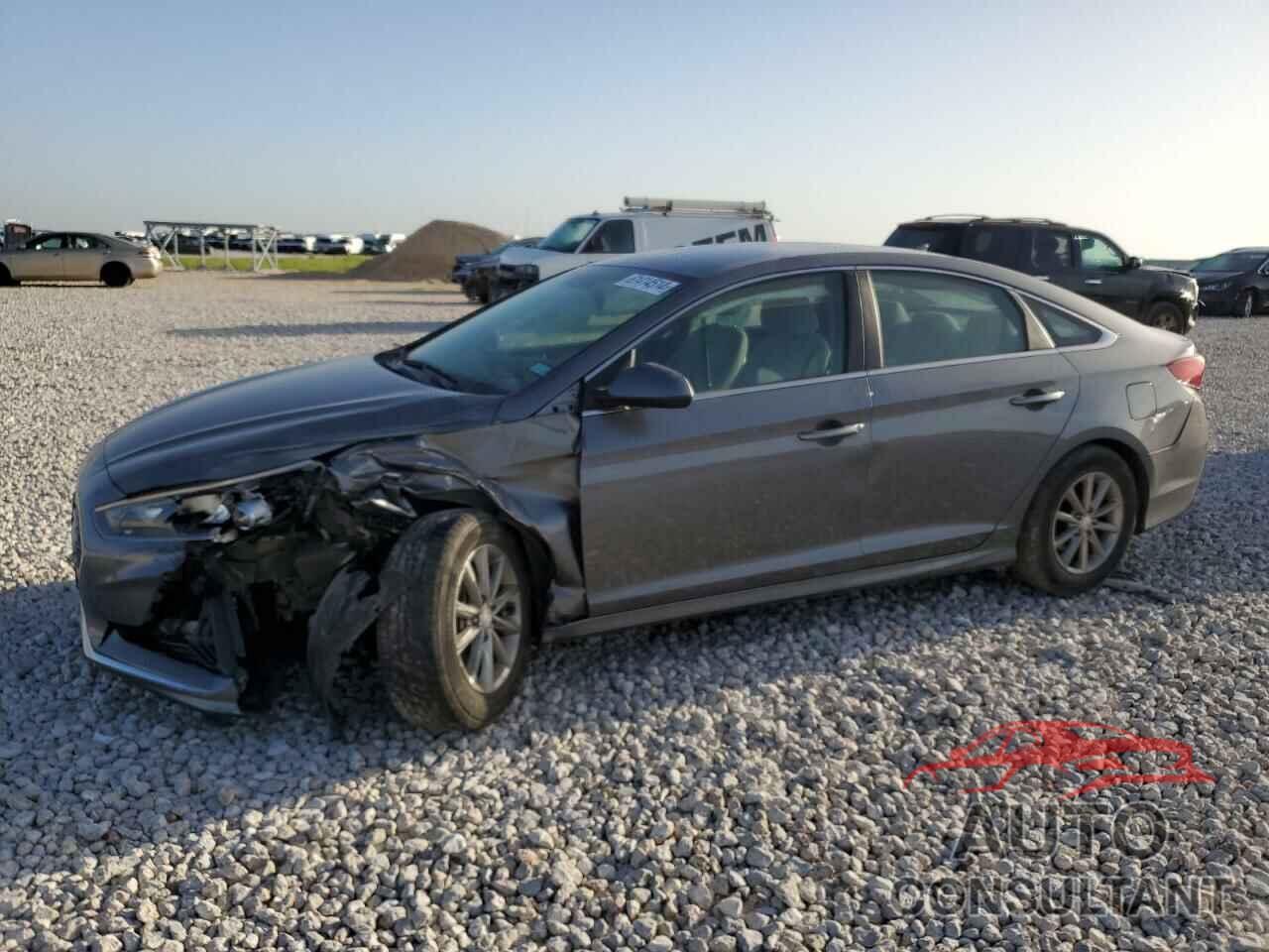 HYUNDAI SONATA 2019 - 5NPE24AF9KH784467