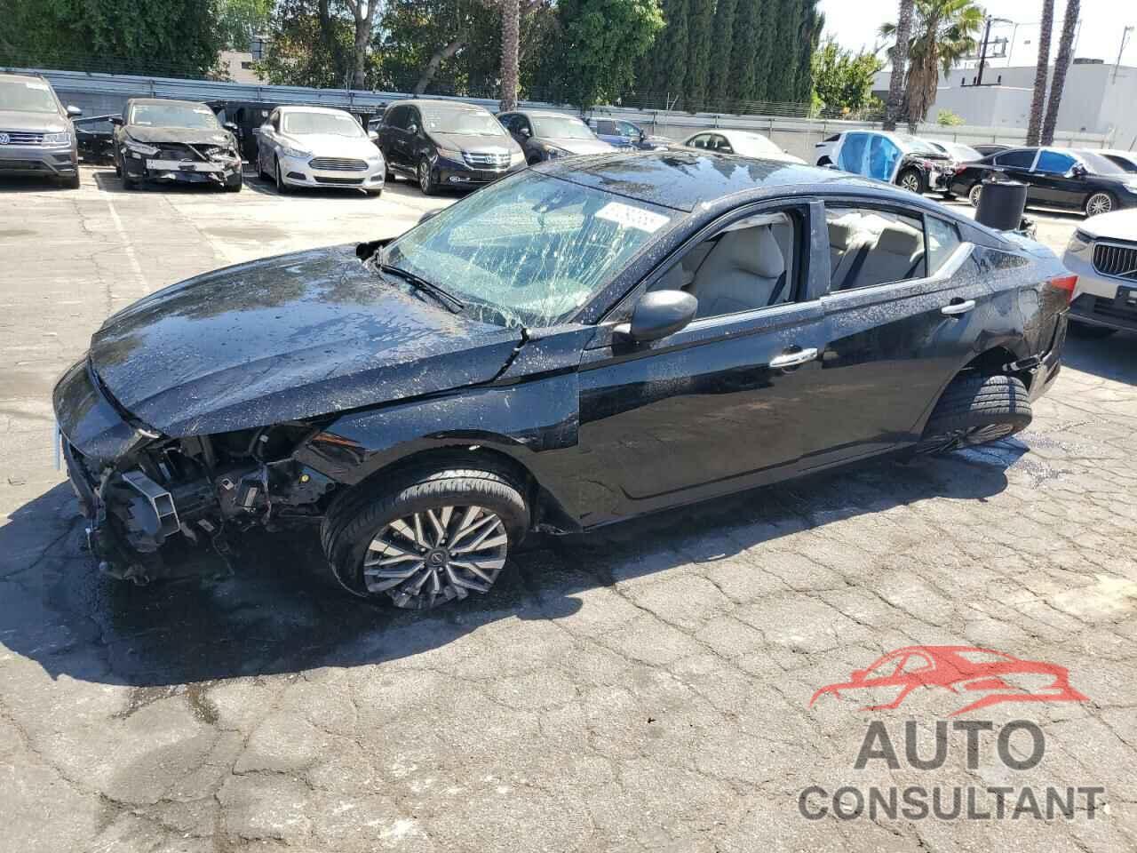 NISSAN ALTIMA 2025 - 1N4BL4DV3SN300298