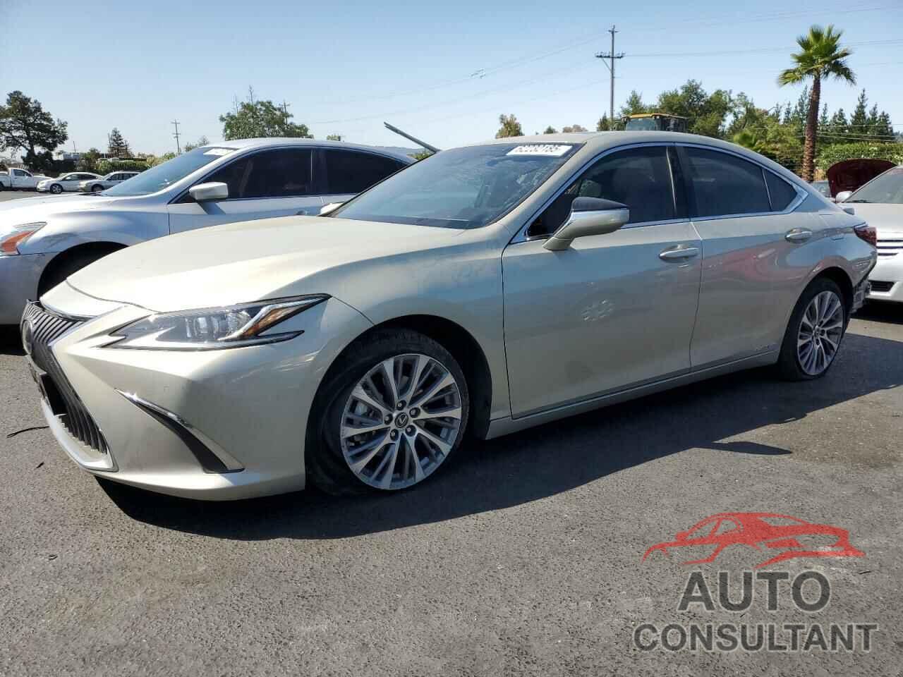 LEXUS ES300 2021 - 58ADA1C16MU009264