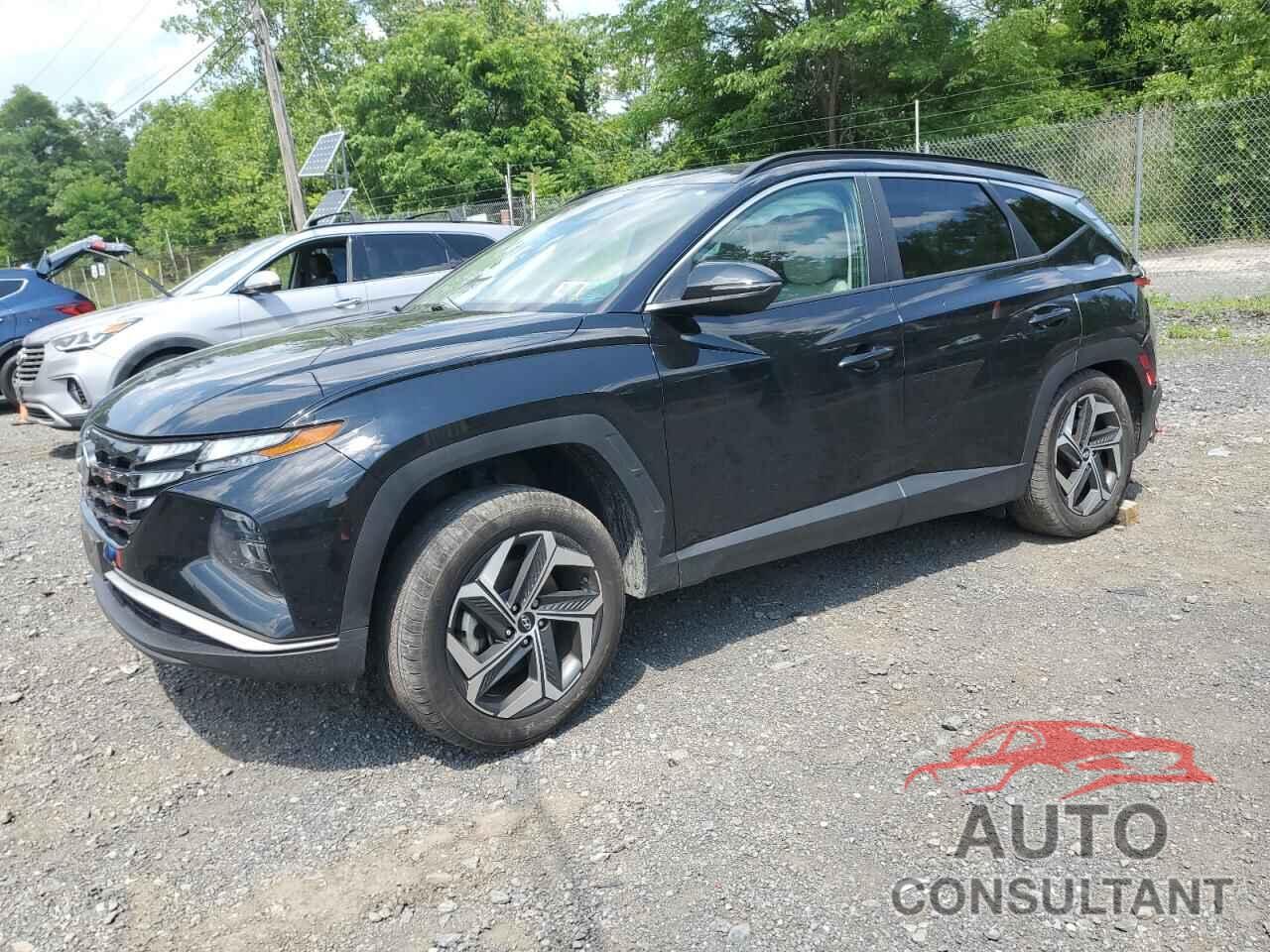 HYUNDAI TUCSON 2023 - 5NMJFCAE9PH166932