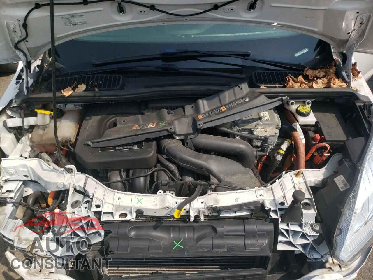 FORD CMAX 2017 - 1FADP5FU3HL105023