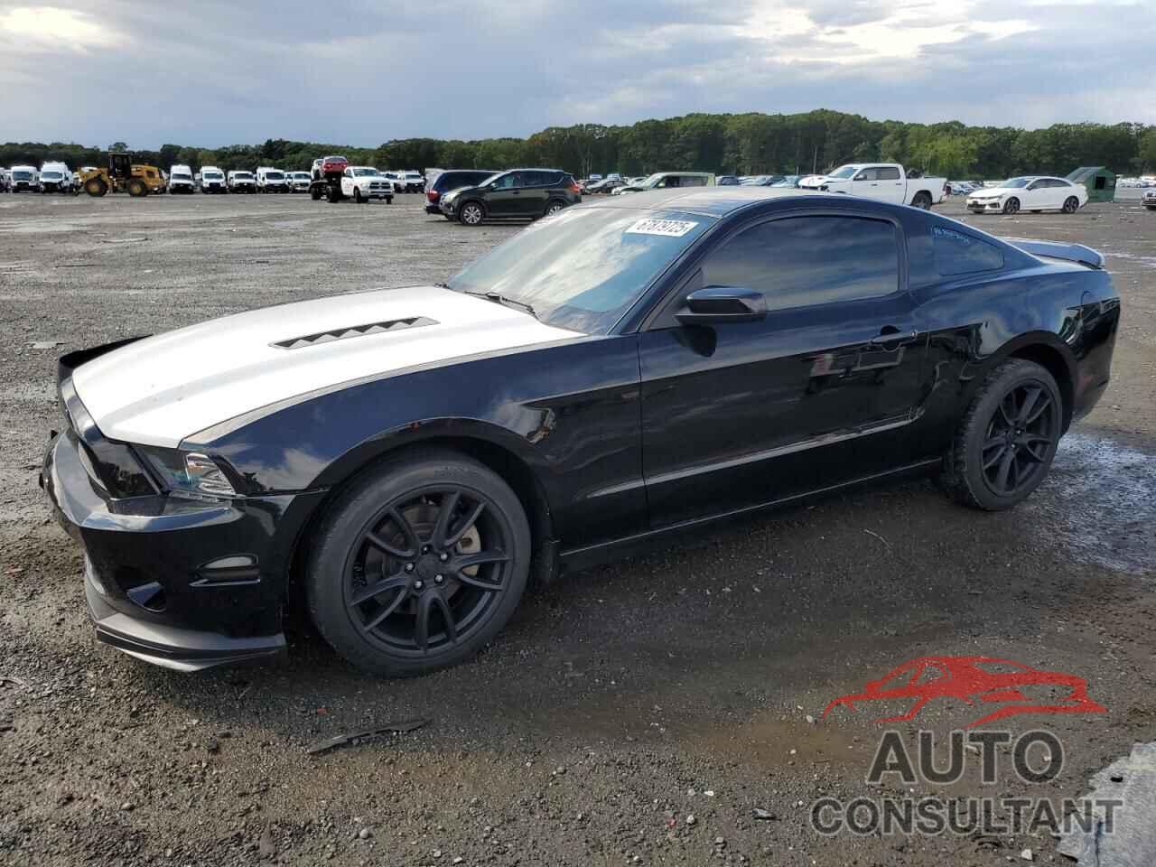 FORD MUSTANG 2014 - 1ZVBP8CFXE5262702
