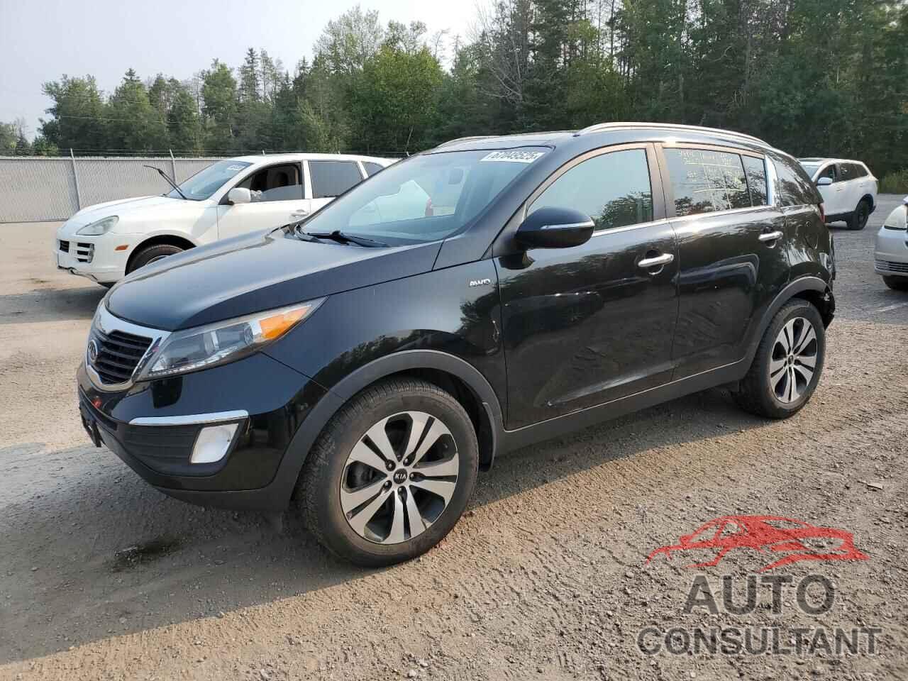 KIA SPORTAGE 2012 - KNDPCCA25C7224786