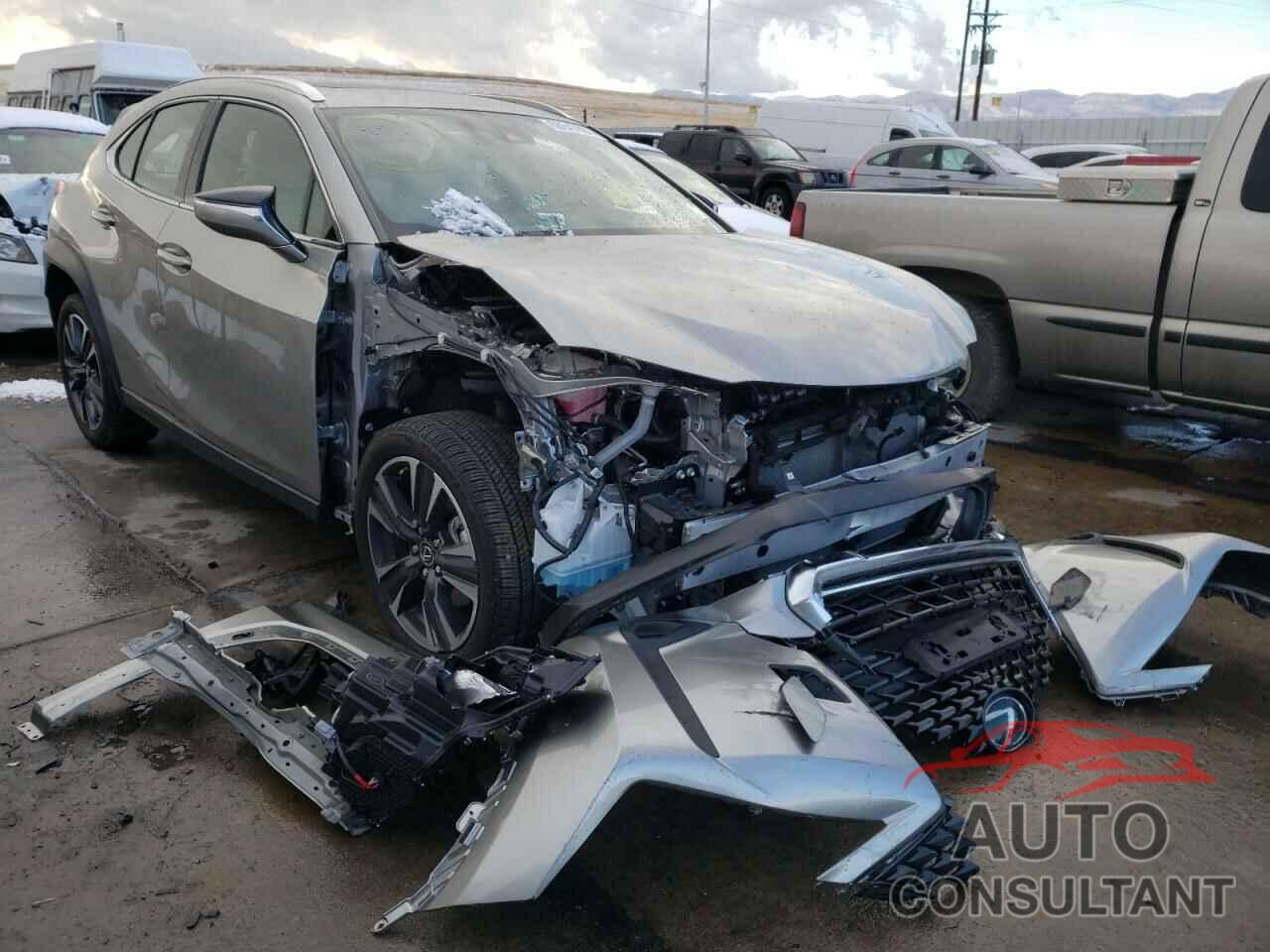 LEXUS UX 200 2019 - JTHY3JBH8K2003821