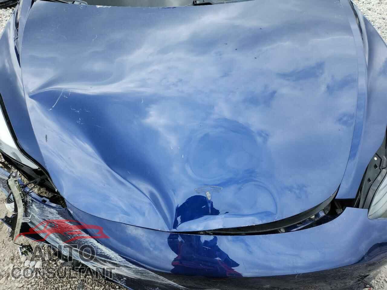 TESLA MODEL 3 2021 - 5YJ3E1EB3MF961102