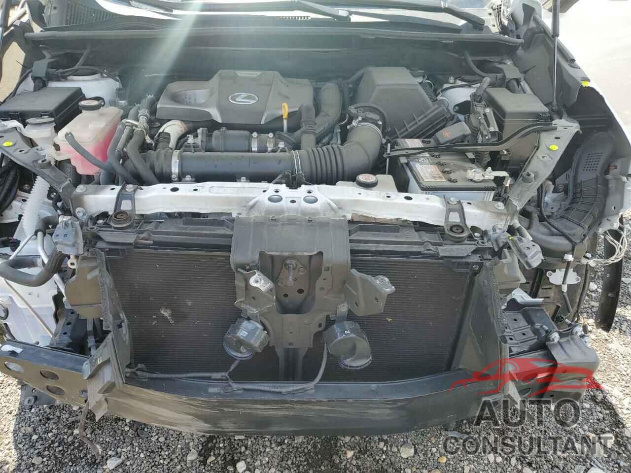 LEXUS NX 2020 - JTJAARBZ8L5013309