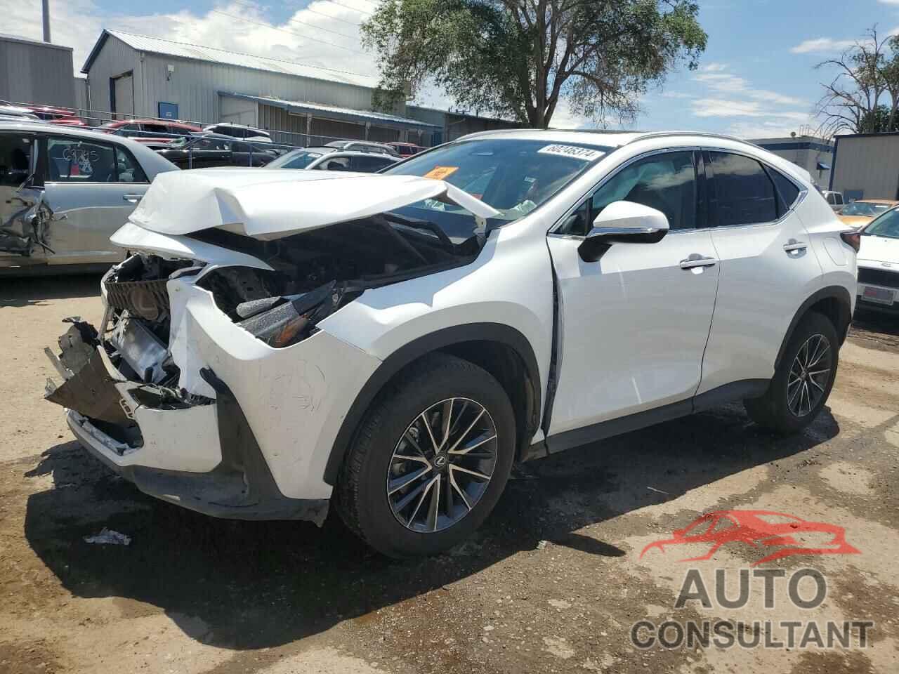 LEXUS NX 250 PRE 2024 - 2T2GDCAZ4RC012524