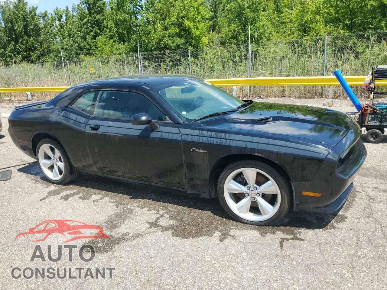 DODGE CHALLENGER 2014 - 2C3CDYBT3EH148660