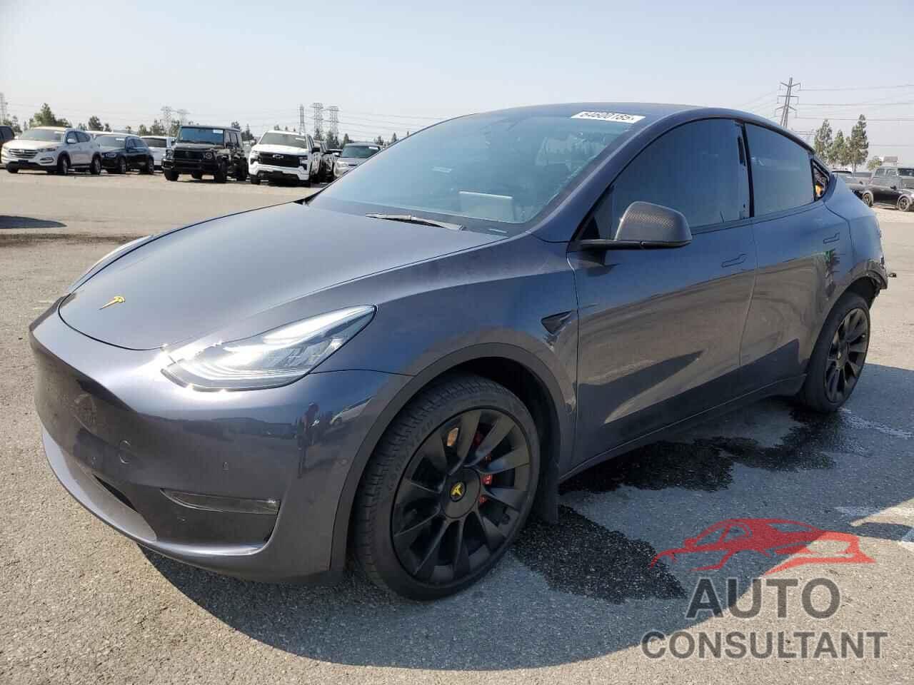 TESLA MODEL Y 2022 - 7SAYGAEE6NF363116