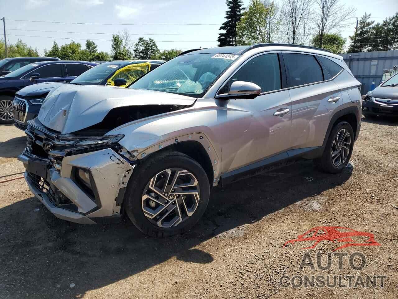 HYUNDAI TUCSON 2025 - KM8JCDD10SU276868