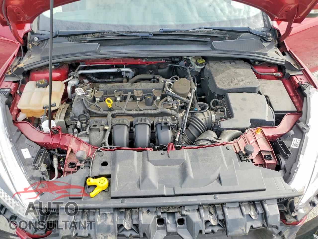 FORD FOCUS 2015 - 1FADP3F2XFL238331