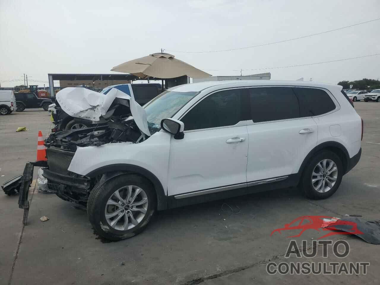 KIA TELLURIDE 2021 - 5XYP24HC0MG119648