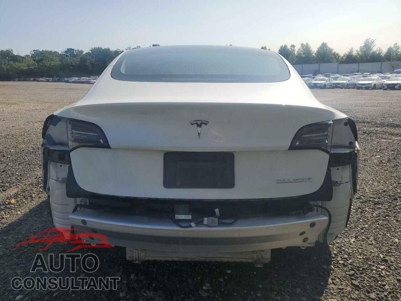 TESLA MODEL 3 2019 - 5YJ3E1EB0KF437726