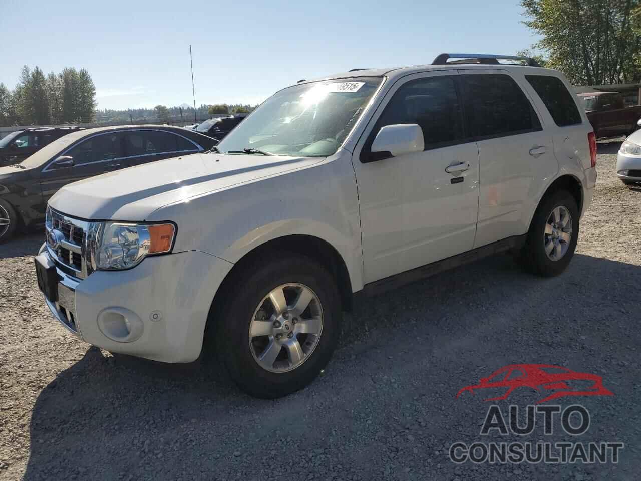 FORD ESCAPE 2010 - 1FMCU0EG8AKA54767
