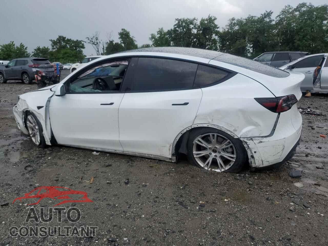 TESLA MODEL Y 2022 - 7SAYGDEE2NF379959