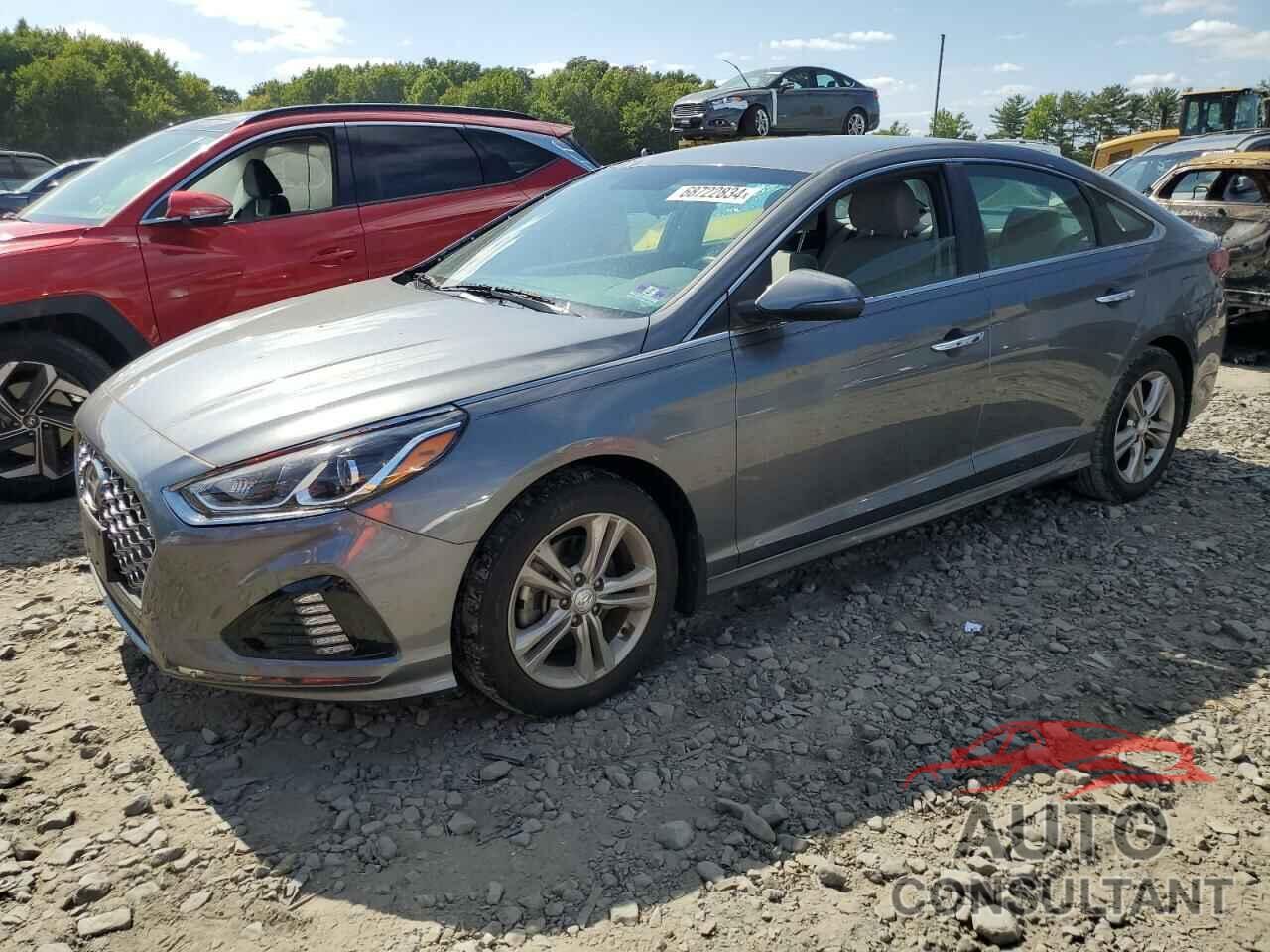 HYUNDAI SONATA 2019 - 5NPE34AF6KH781605