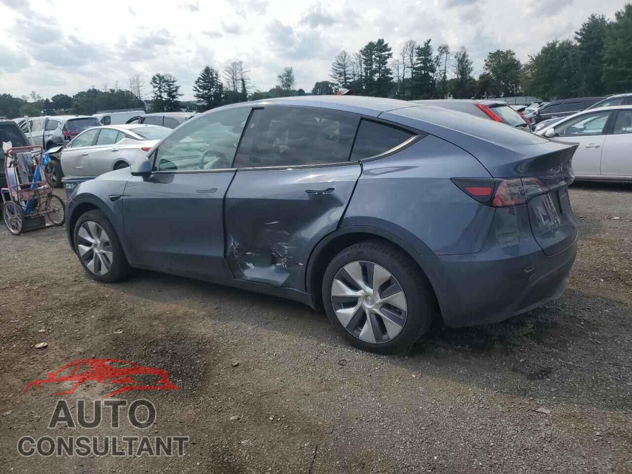 TESLA MODEL Y 2024 - 7SAYGDEE6RA217237