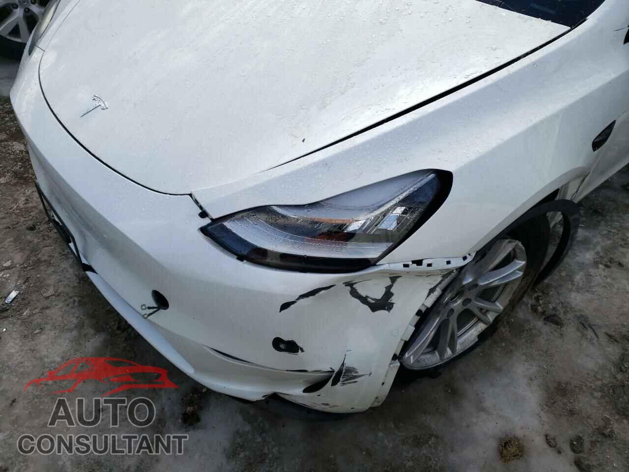 TESLA MODEL Y 2021 - 5YJYGDEEXMF064483
