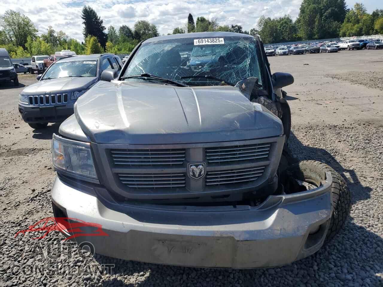 DODGE DAKOTA 2011 - 1D7RW3GP7BS685282