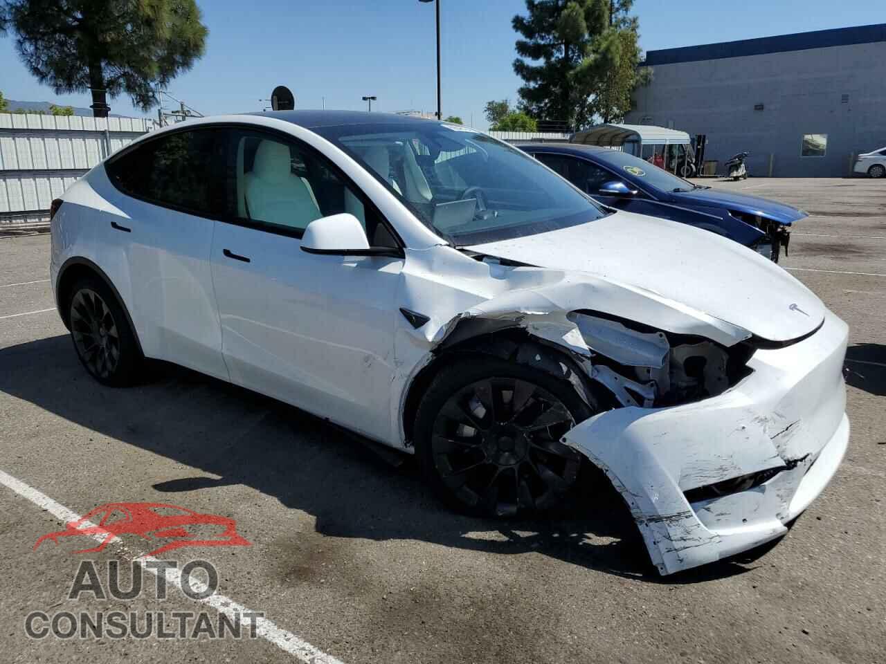 TESLA MODEL Y 2024 - 7SAYGDEE7RA225542