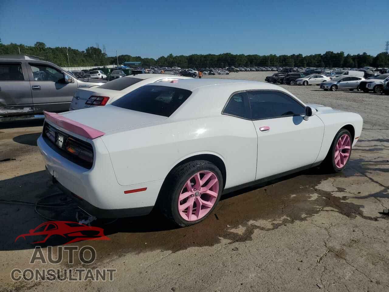 DODGE CHALLENGER 2020 - 2C3CDZAG4LH218142