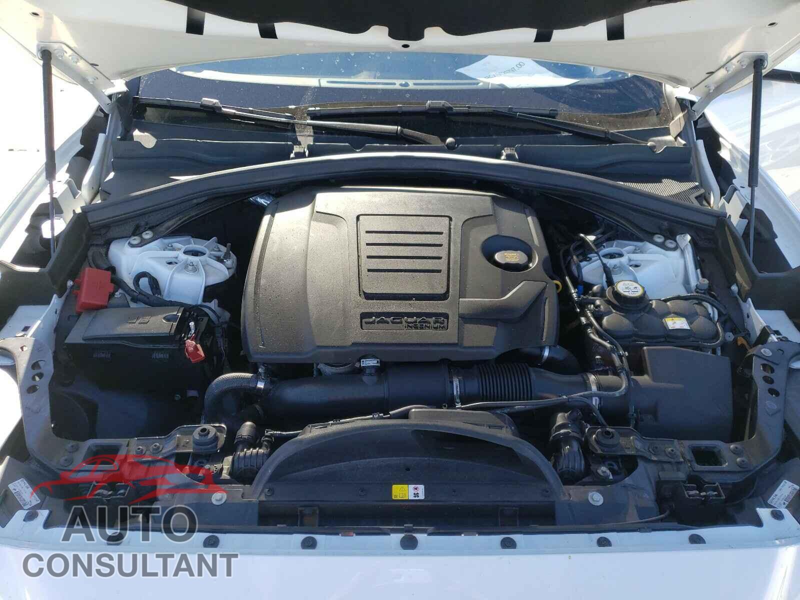 JAGUAR F-PACE 2019 - SADCS2FX1KA601698