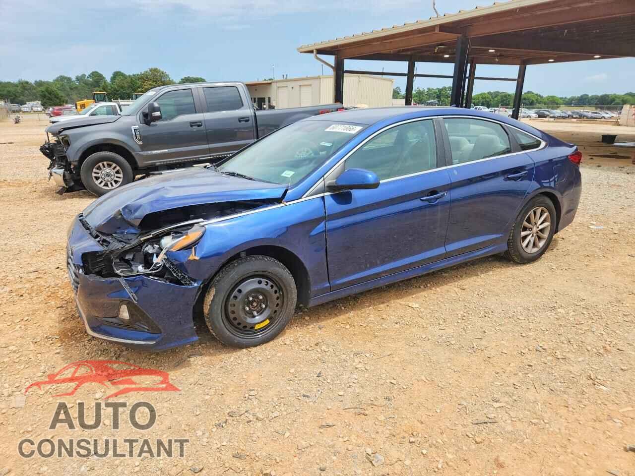 HYUNDAI SONATA 2019 - 5NPE24AF7KH772575
