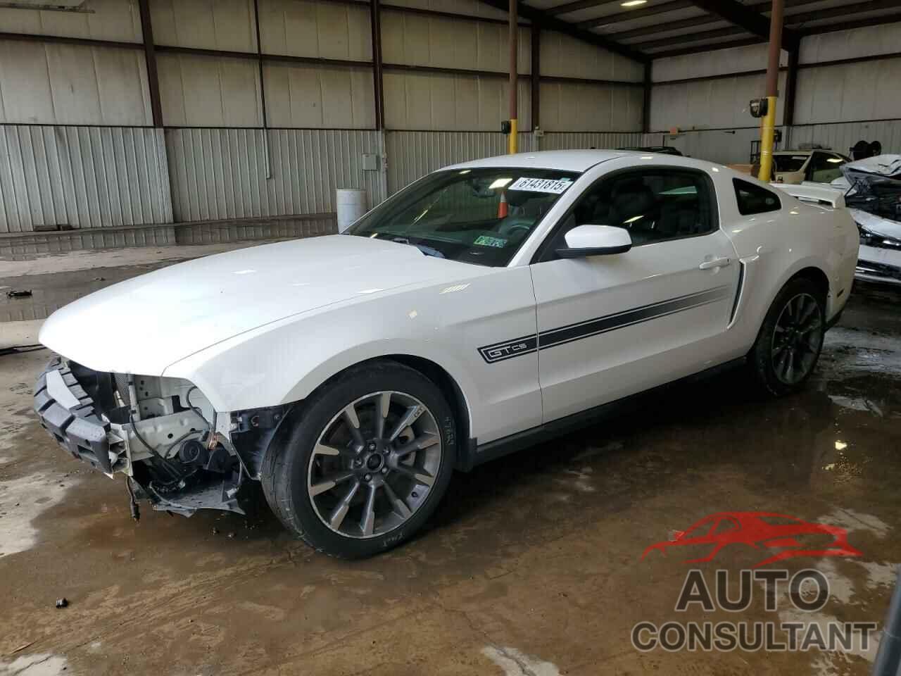 FORD MUSTANG 2011 - 1ZVBP8CF2B5127130