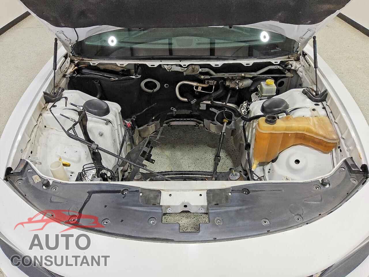 DODGE CHARGER 2019 - 2C3CDXGJ5KH753910