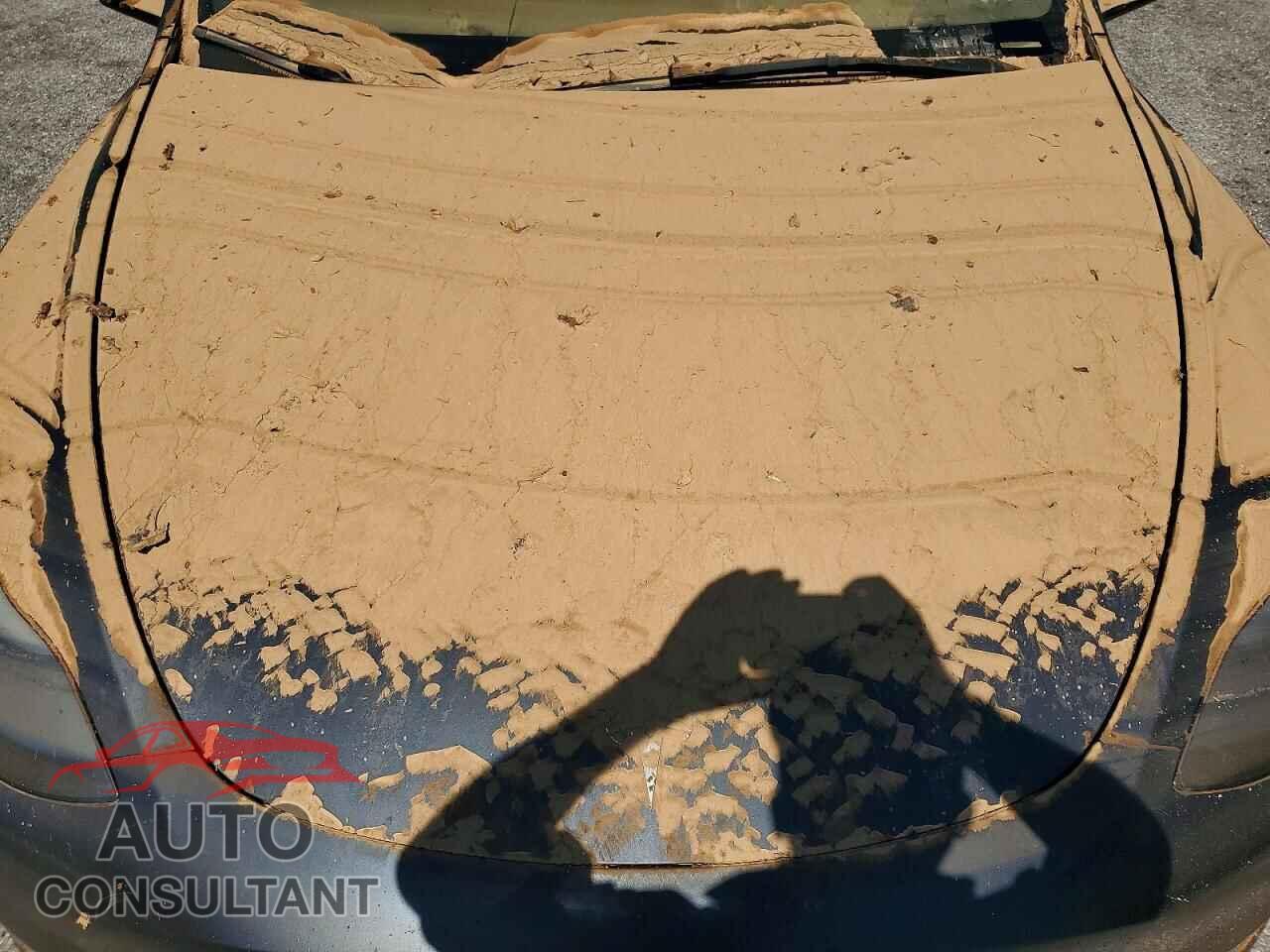 TESLA MODEL Y 2024 - 7SAYGDEDXRF044607