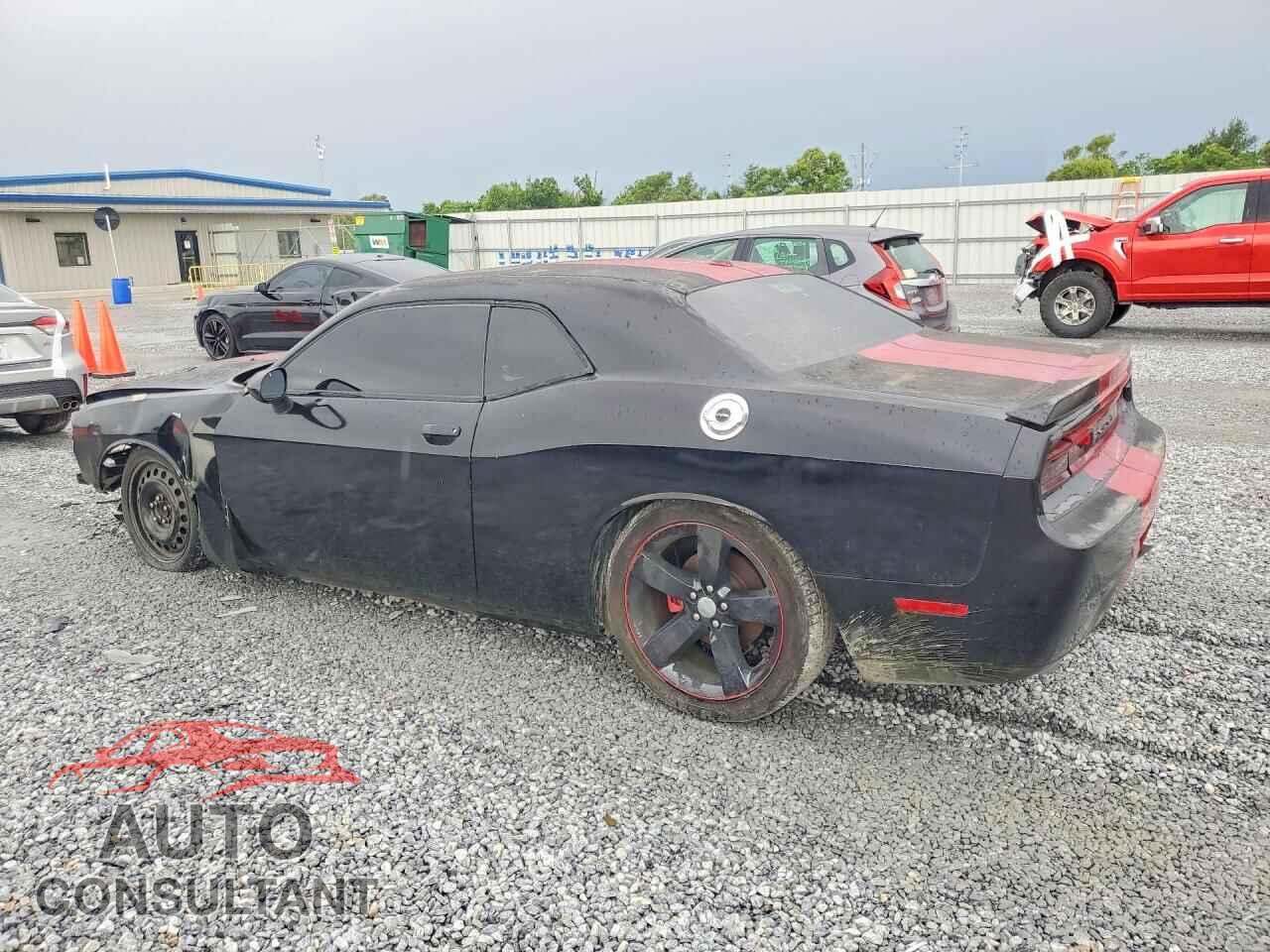 DODGE CHALLENGER 2013 - 2C3CDYAG3DH520128