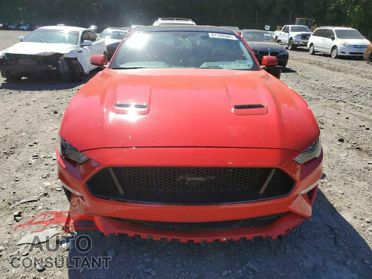FORD MUSTANG 2019 - 1FA6P8CF0K5116850