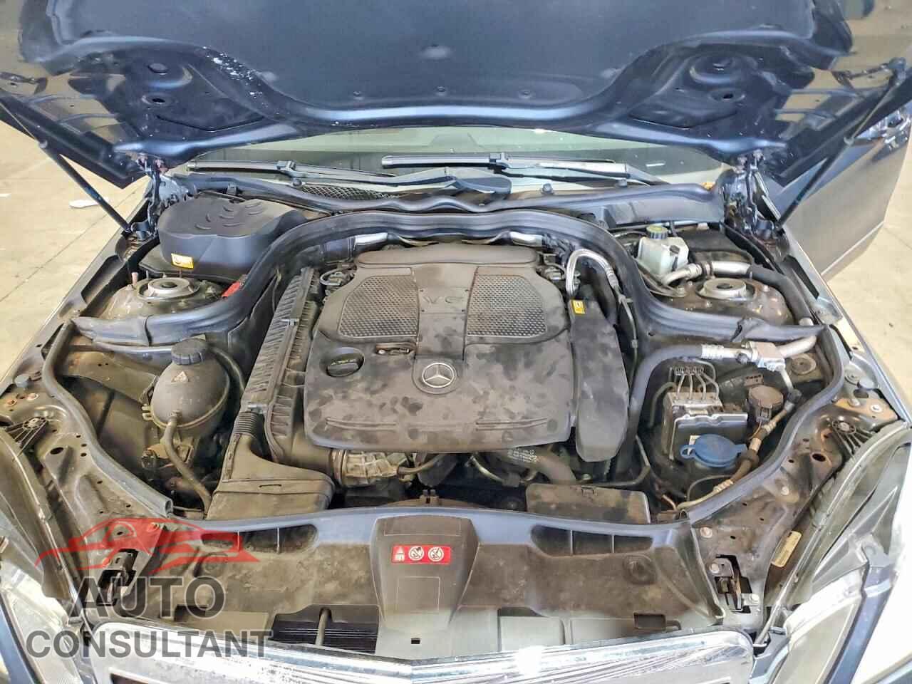MERCEDES-BENZ E-CLASS 2013 - WDDHF8JBXDA683539