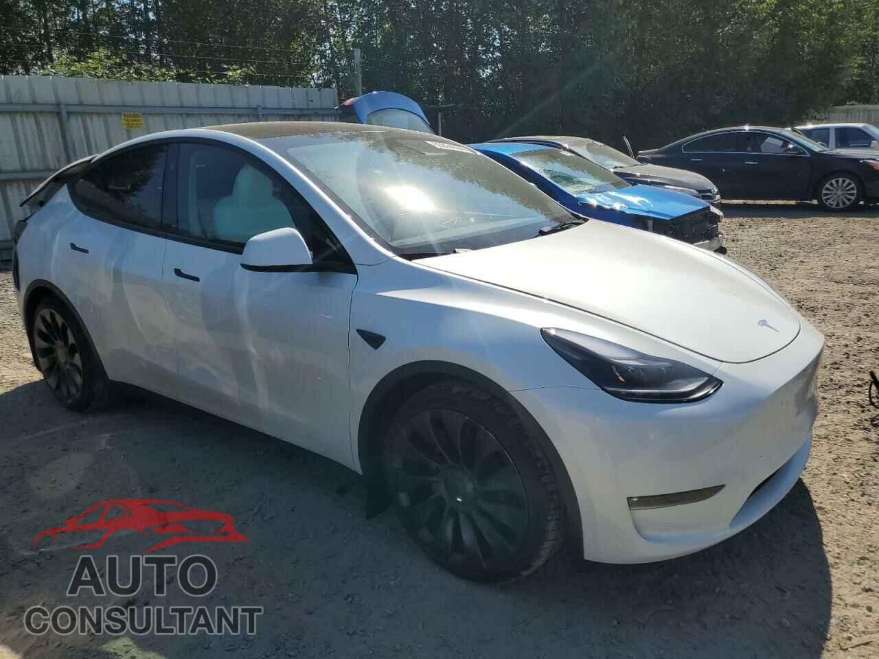 TESLA MODEL Y 2023 - 7SAYGDEF8PF804287