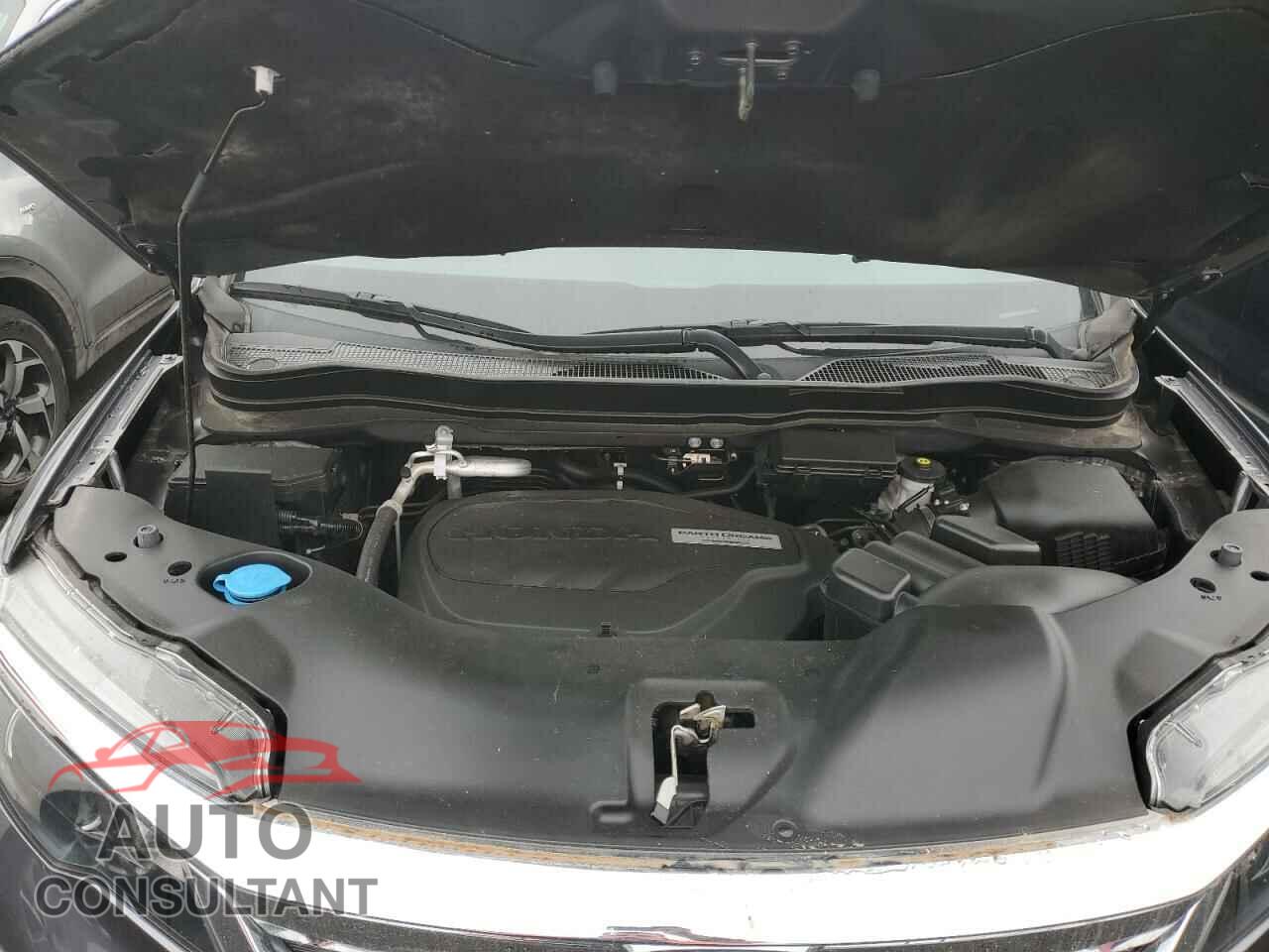 HONDA PILOT 2020 - 5FNYF6H56LB018366