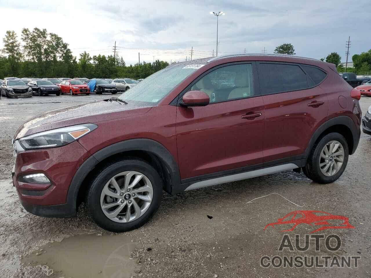 HYUNDAI TUCSON 2017 - KM8J33A40HU417522