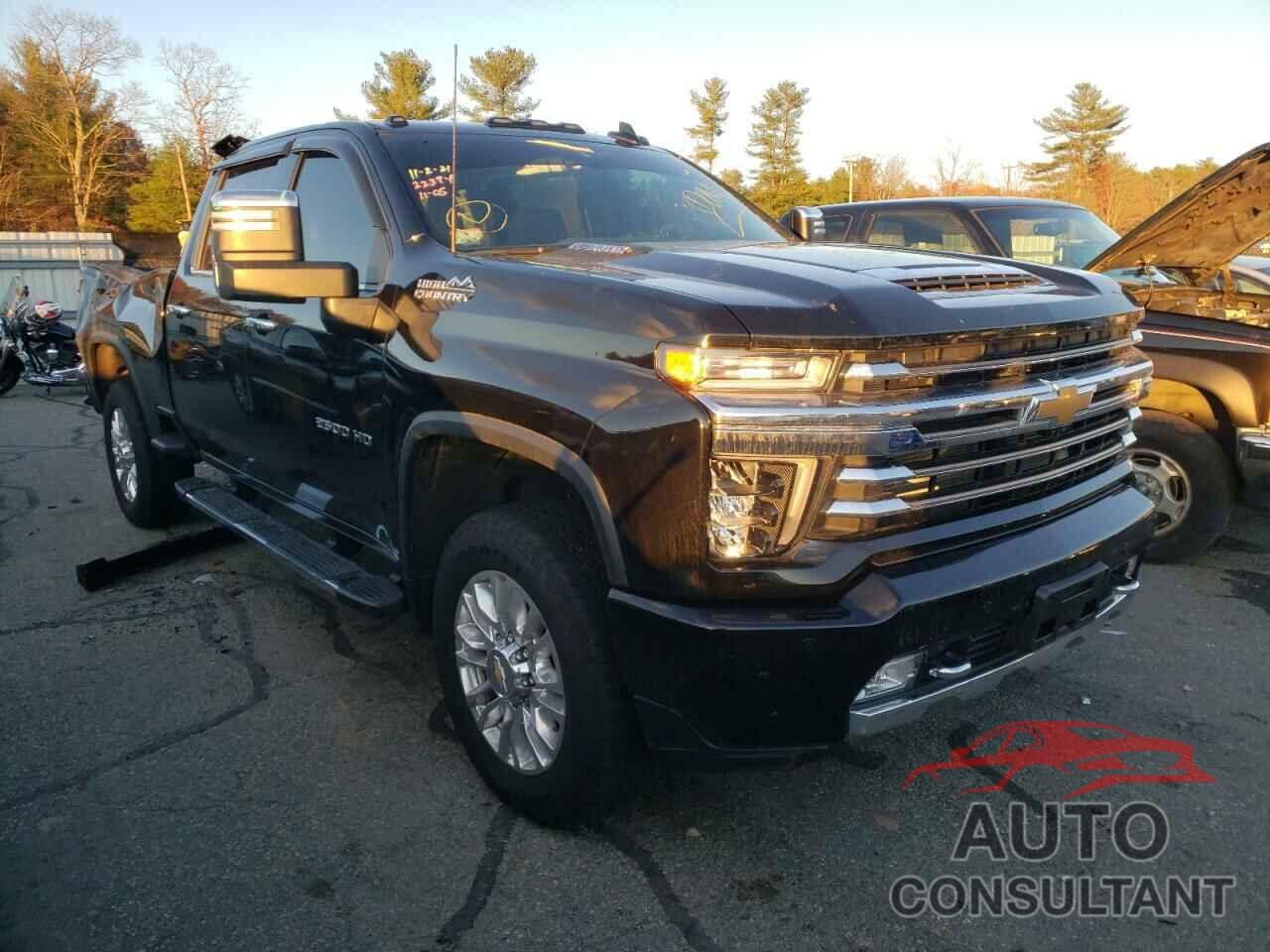 CHEVROLET SILVERADO 2021 - 1GC4YREY4MF113000